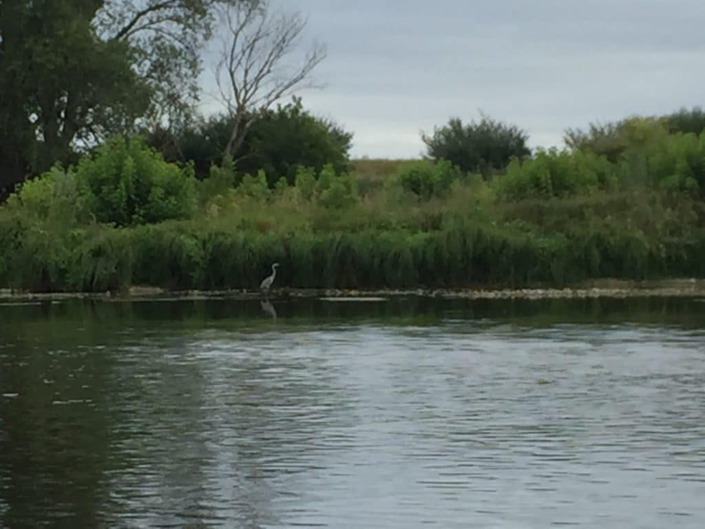 les bords de loire vue du beau une grue