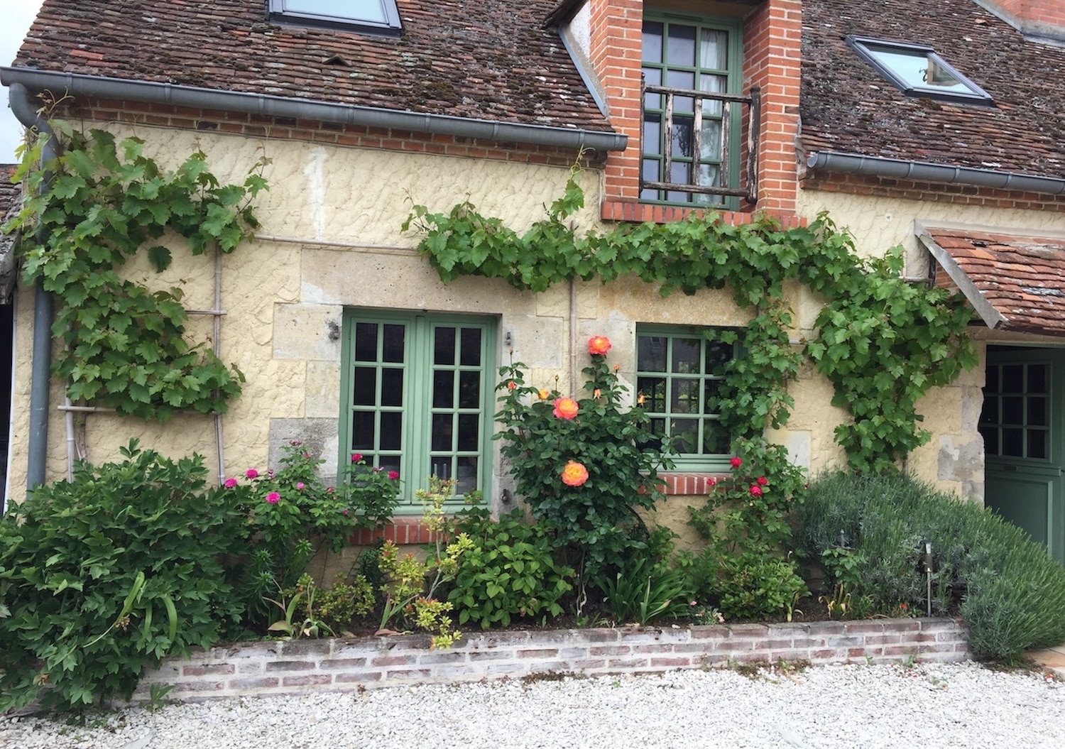 FACADE JARDINIERE FLEURIE ET TREILLE